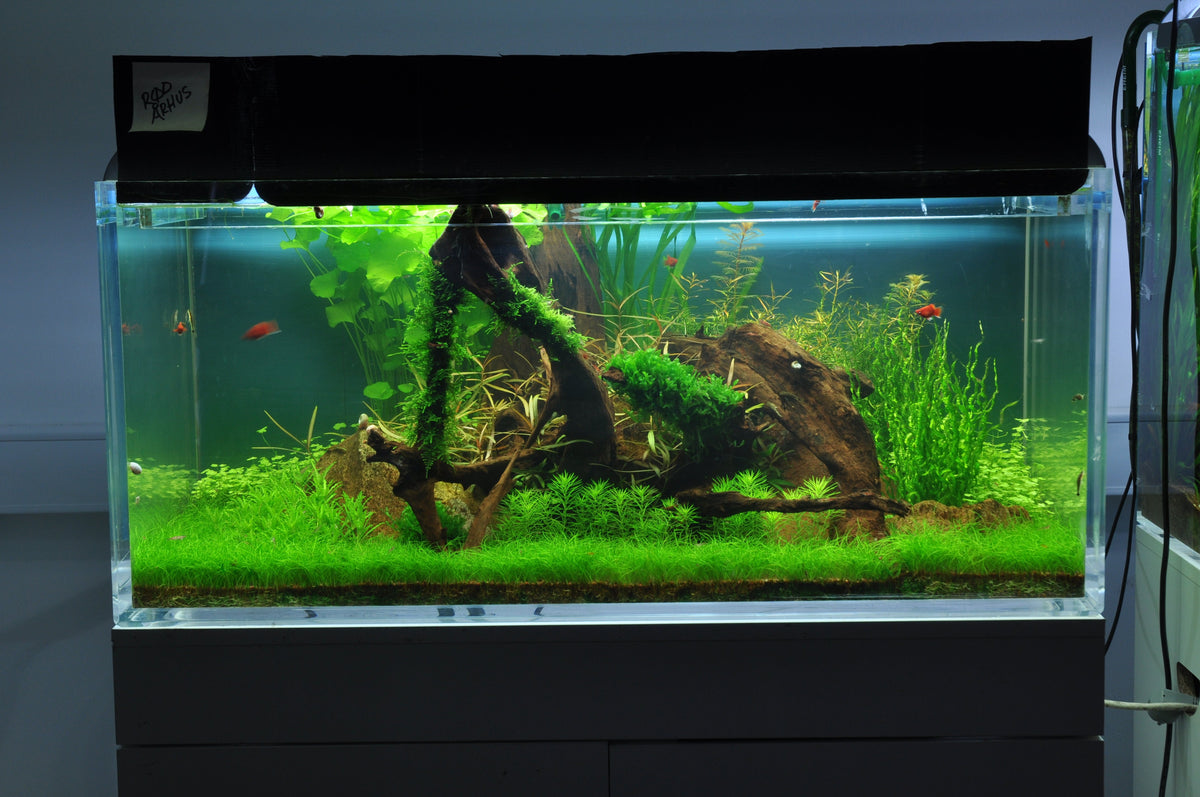 Layout 38 (225 L)