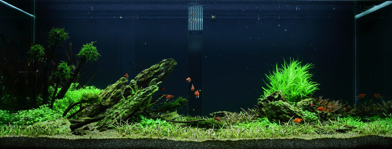 Layout 50 (300 L)