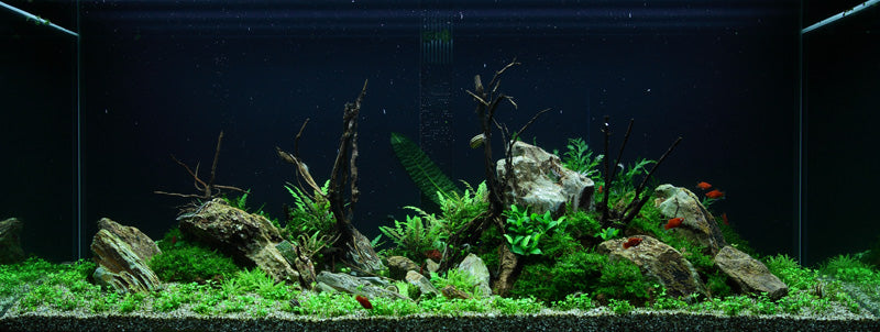 Layout 52 (300 L)
