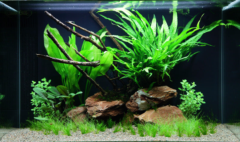 Layout 63 (100 L)