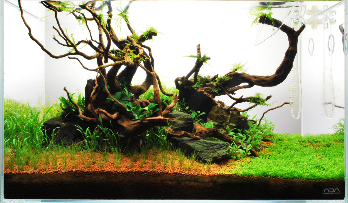 Layout 71 (60 L)