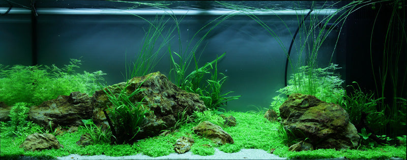 Layout 79 (180 L)