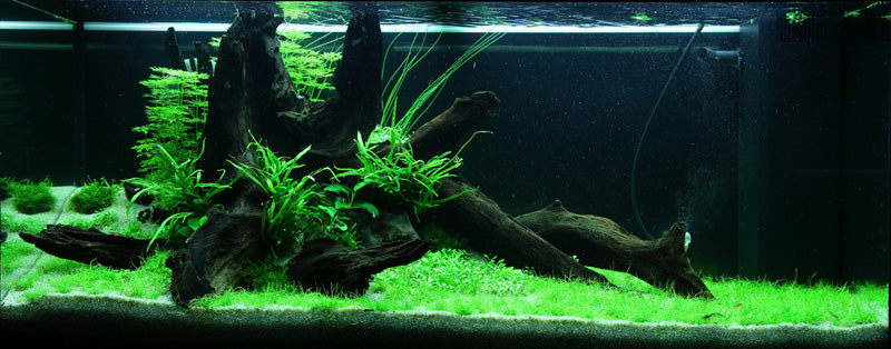 Layout 81 (180 L)