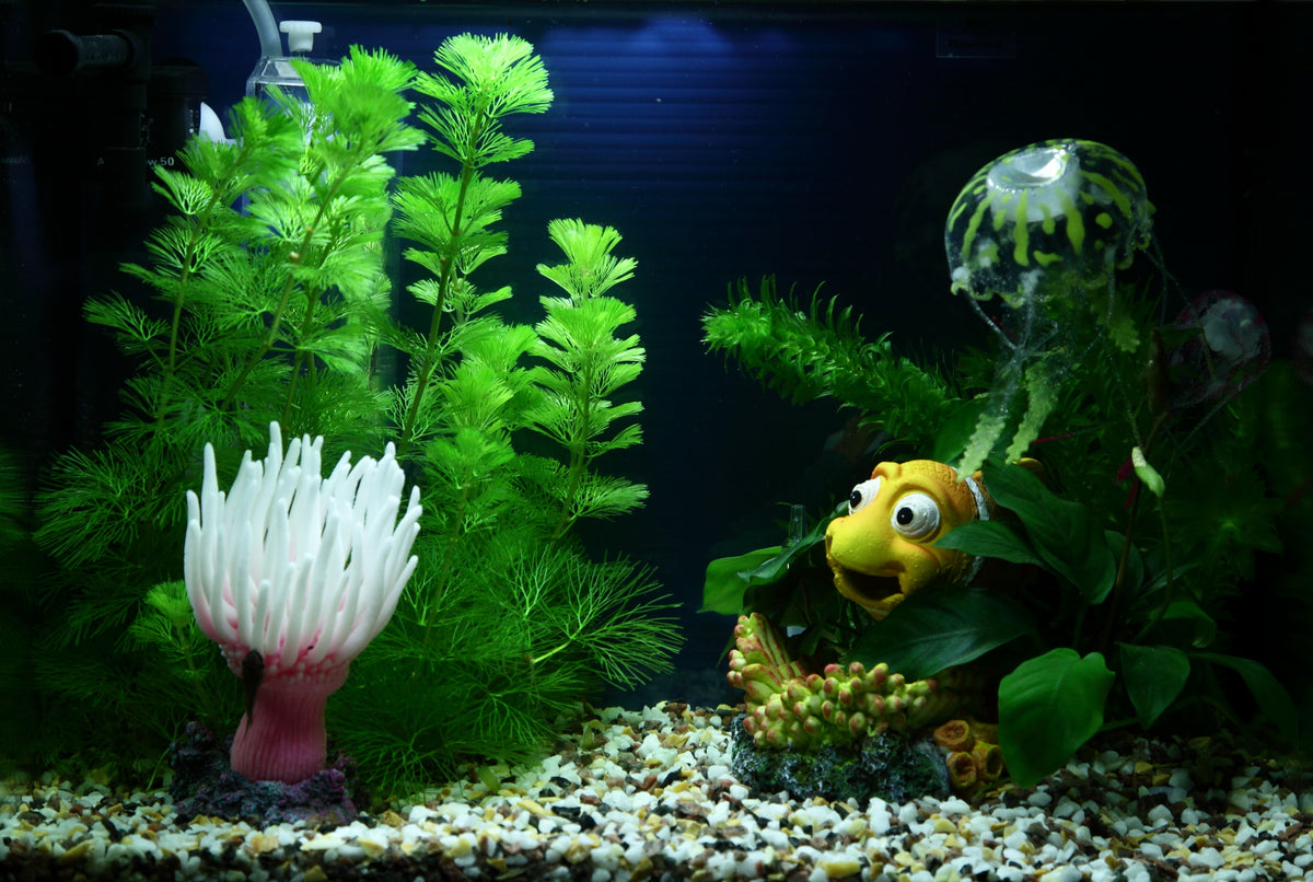 Layout 88 (20 L)