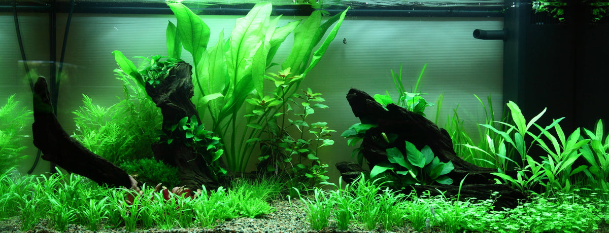 Layout 89 (180 L)