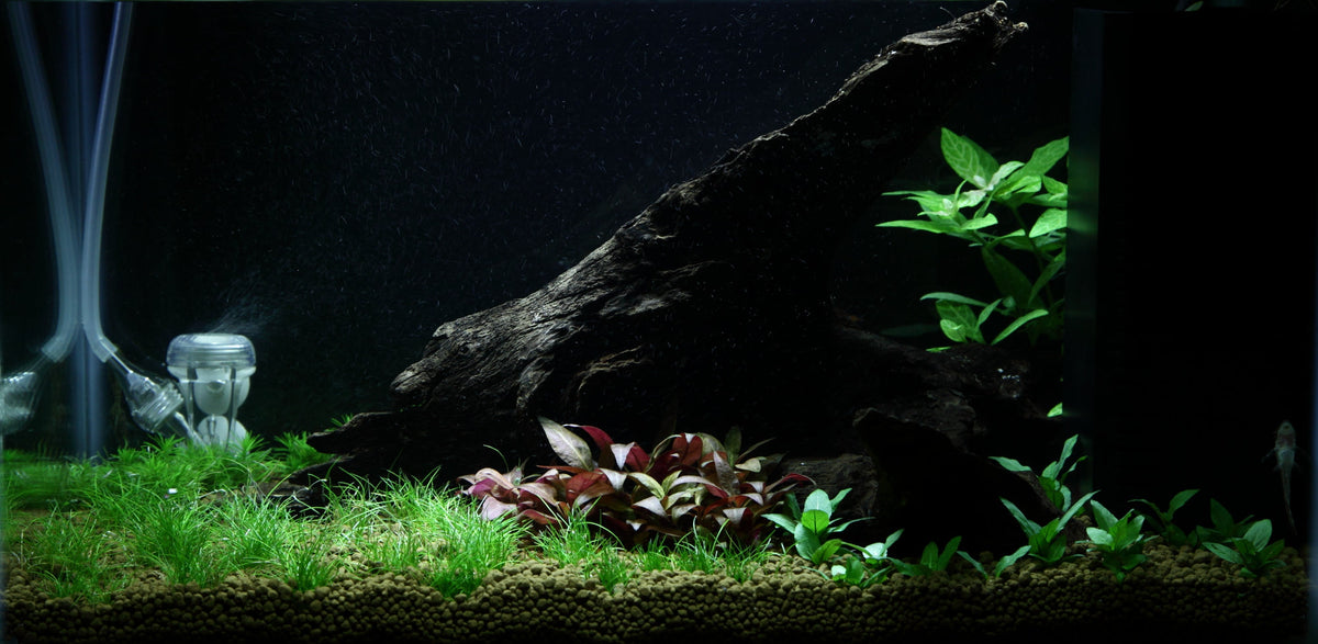 Layout 93 (25 L)
