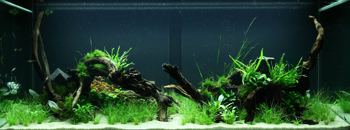 Layout 95 (300 L)