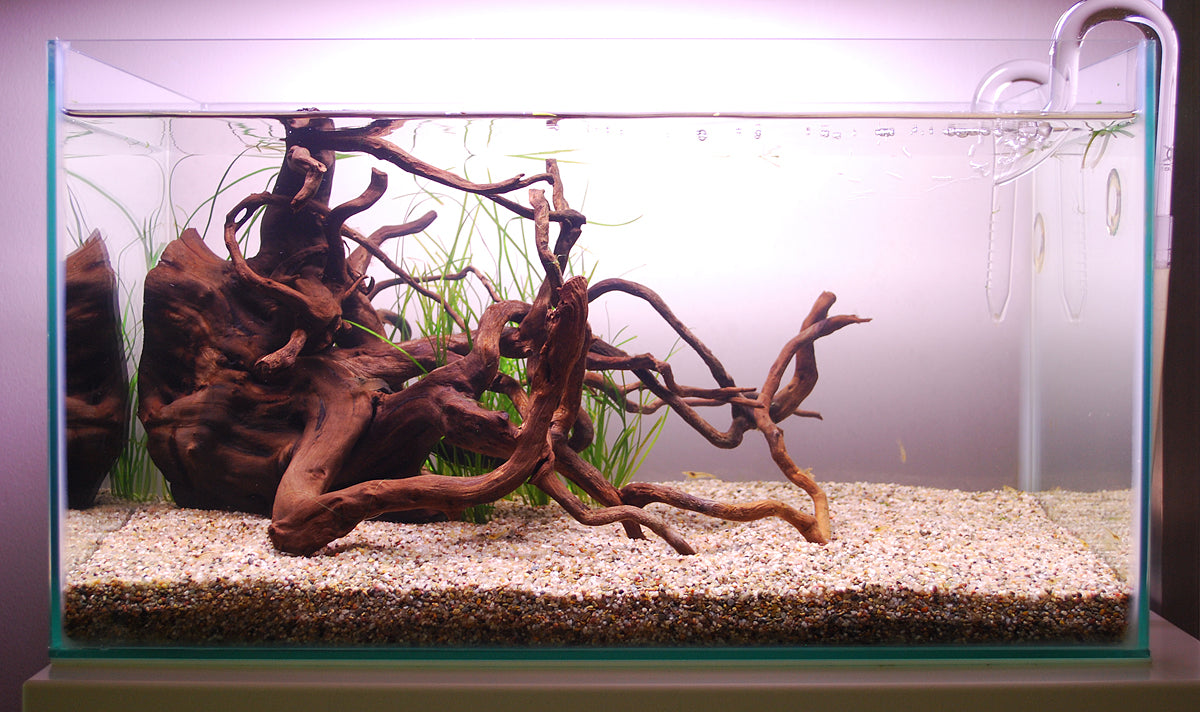 Layout 103 (28 L)