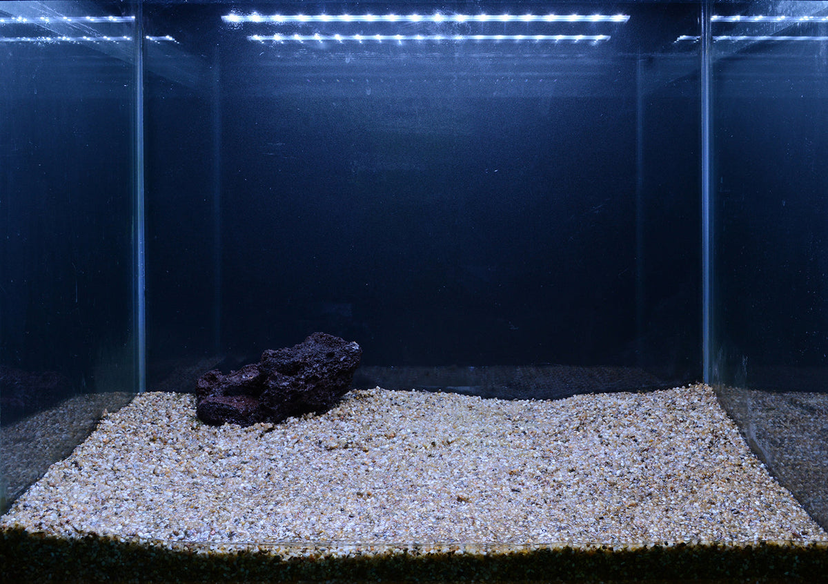 Layout 107 (57 L)