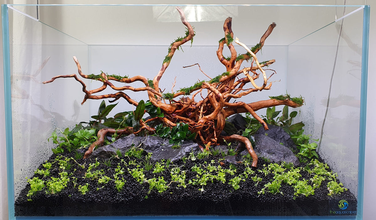 Layout 122 (110 L)