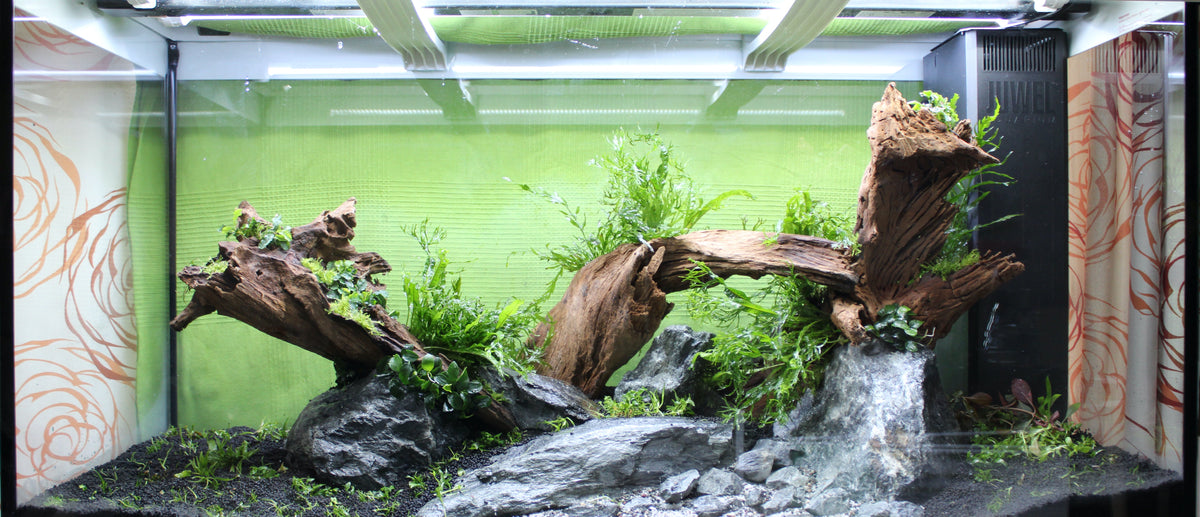 Layout 128 (350 L)
