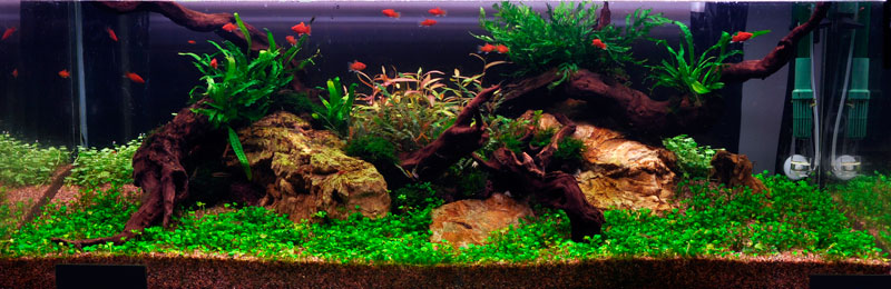 Layout 7 (270 L)