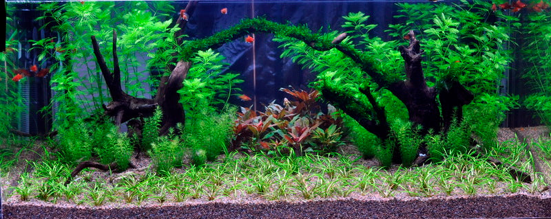 Layout 8 (225 L)