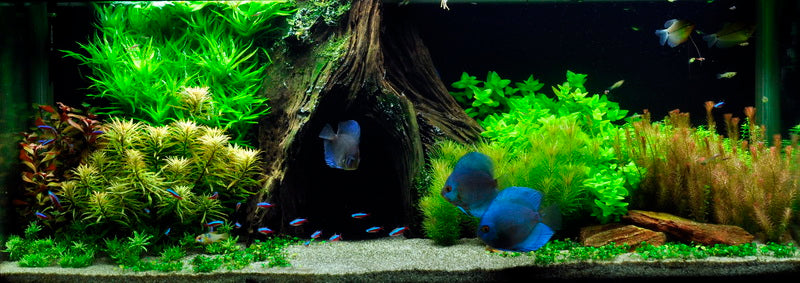 Layout 10 (325 L)