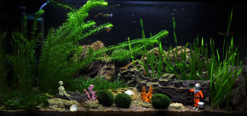 Layout 15 (112 L)