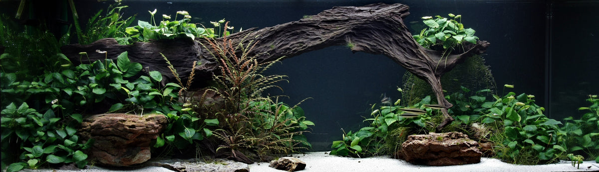 Layout 27 (350 L)