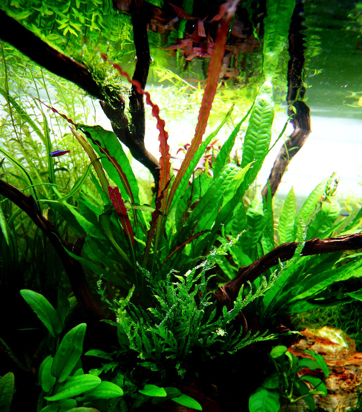 Layout 32 (360 L)