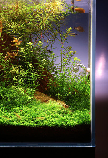 Layout 44 (200 L)