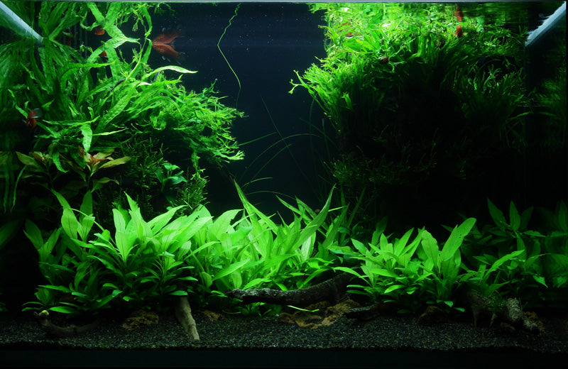 Layout 47 (100 L)