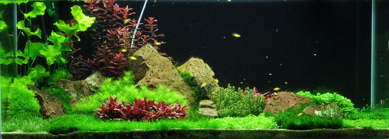 Layout 54 (270 L)
