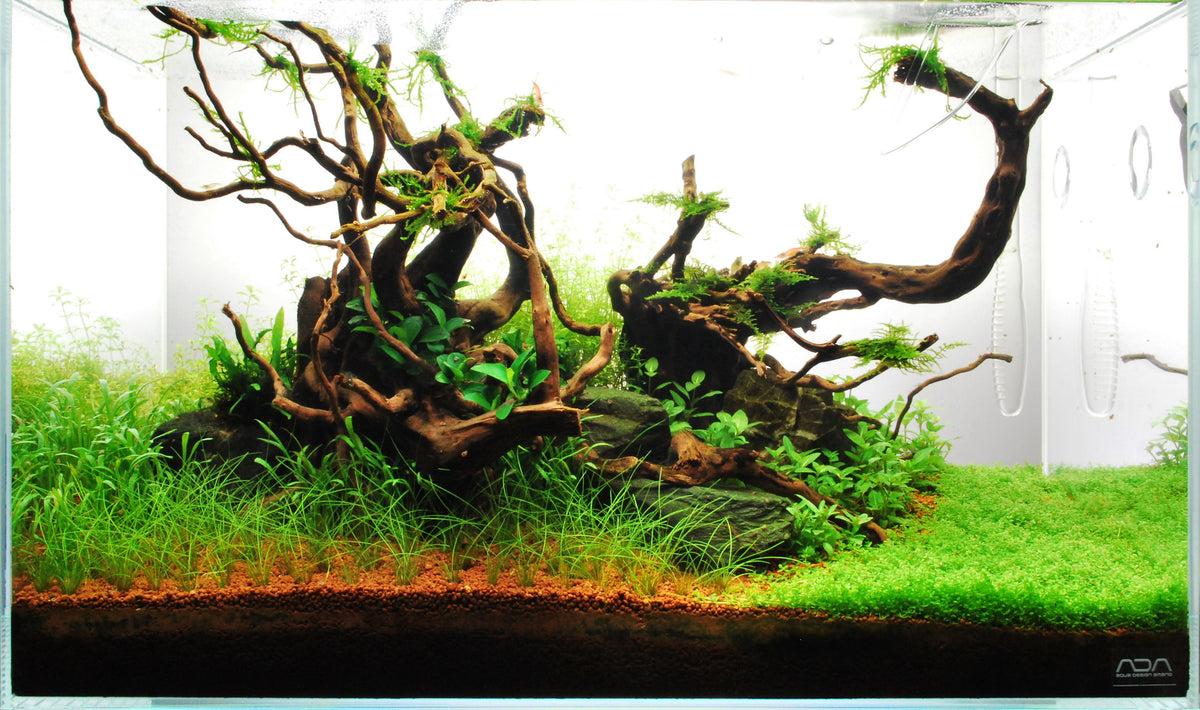Layout 71 (60 L)