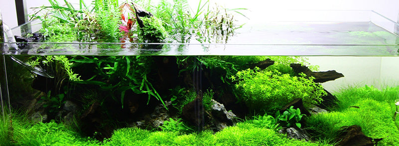 Layout 73 (122 L)