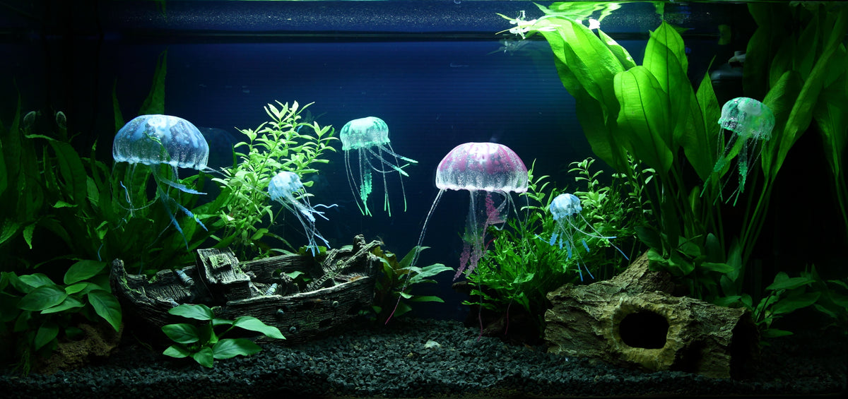 Layout 91 (96 L)
