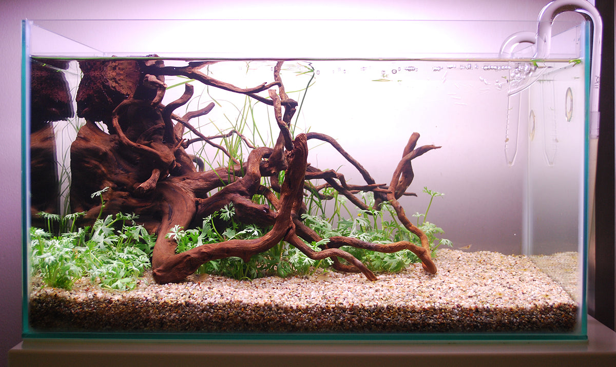 Layout 103 (28 L)