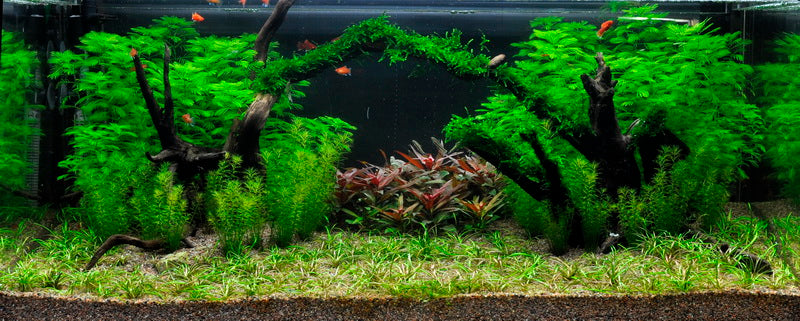 Layout 8 (225 L)