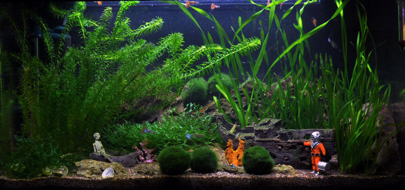 Layout 15 (112 L)