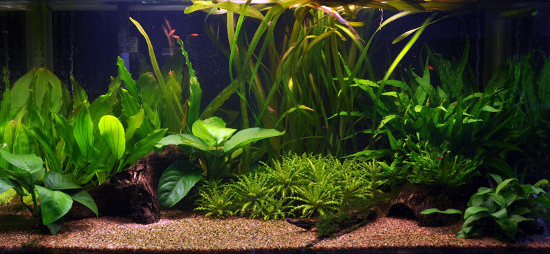 Layout 16 (128 L)