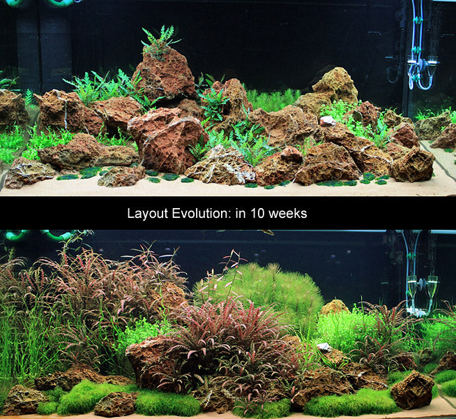 Layout 23 (360 L)