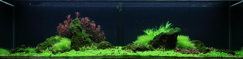 Layout 53 (225 L)