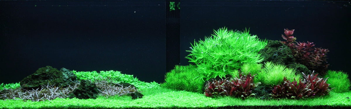 Layout 94 (270 L)