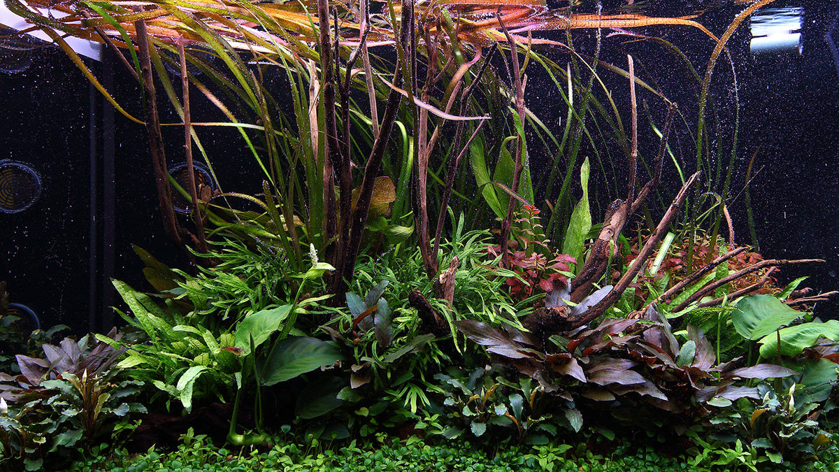 Layout 108 (250 L)