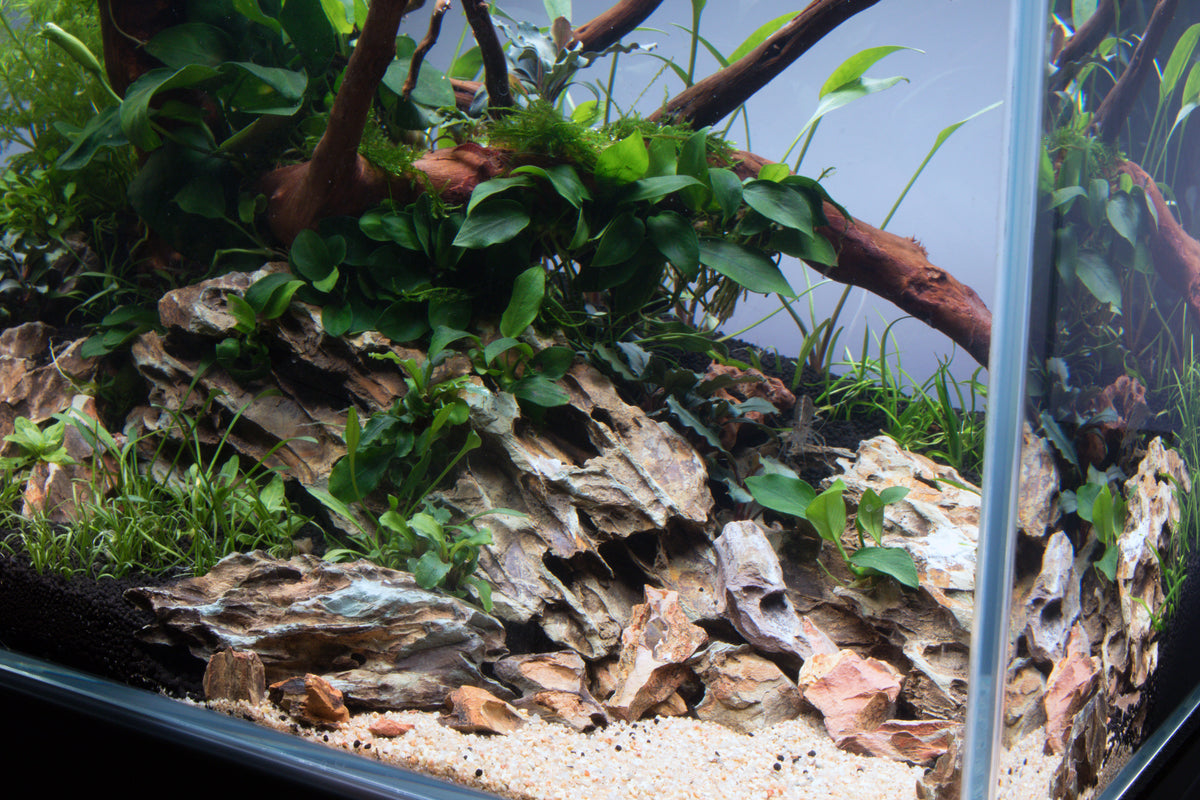Layout 115 (35 L)