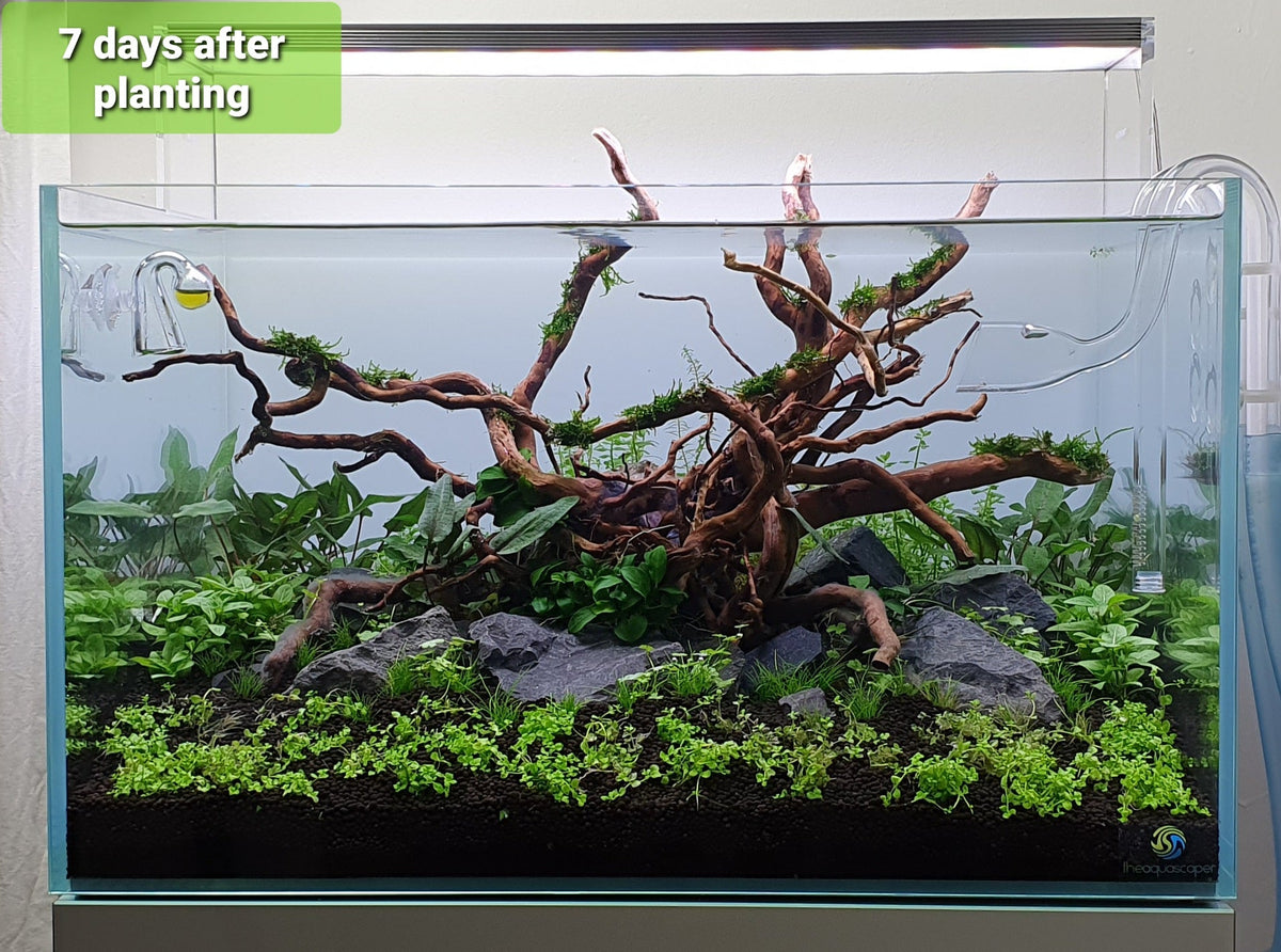 Layout 122 (110 L)