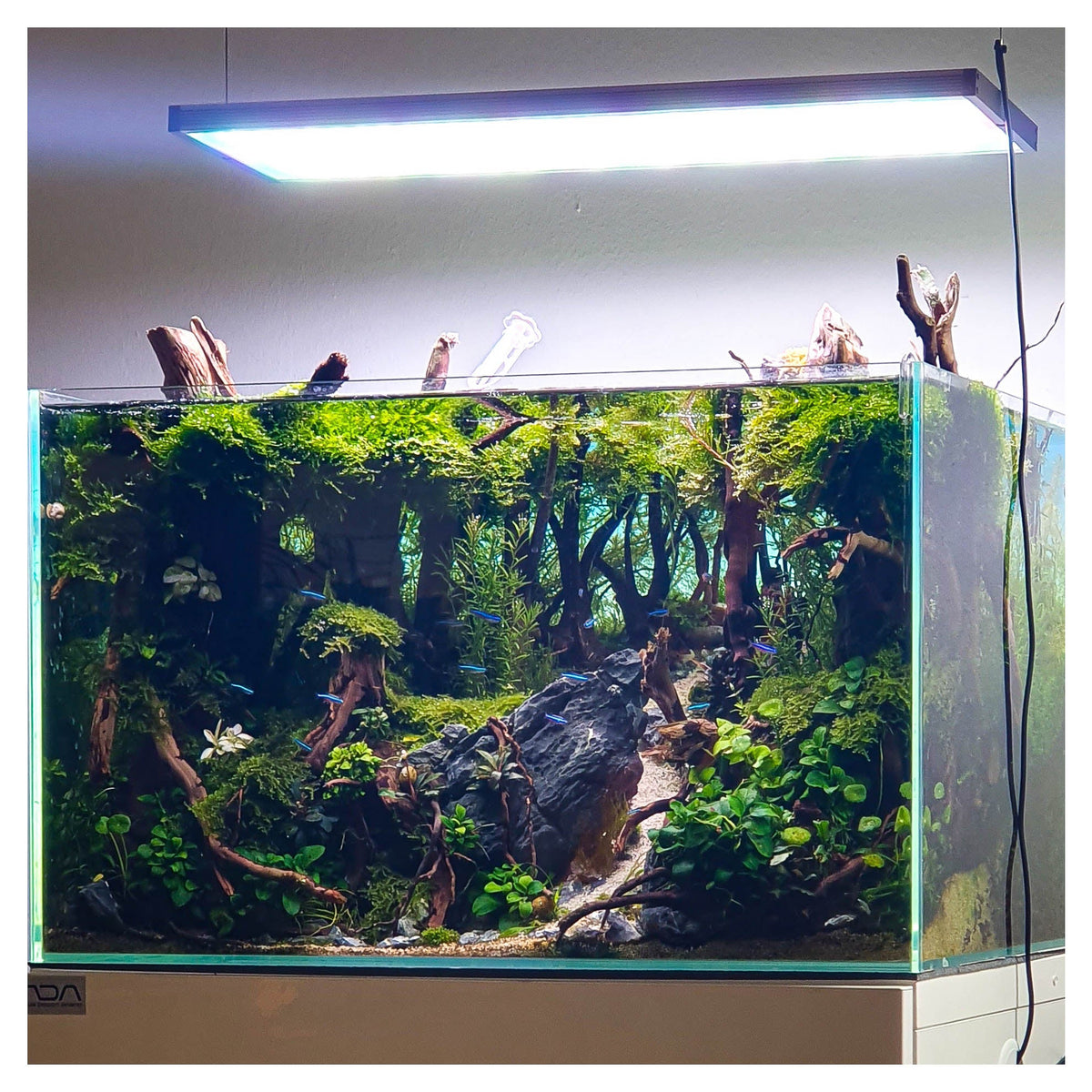 Layout 123 (82 L)