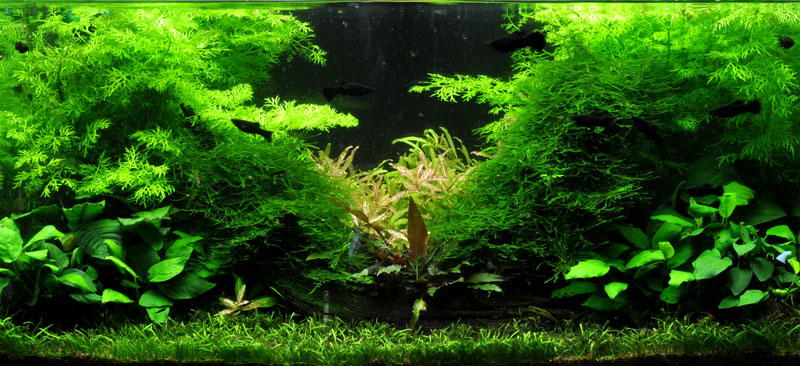 Layout 2 (128 L)