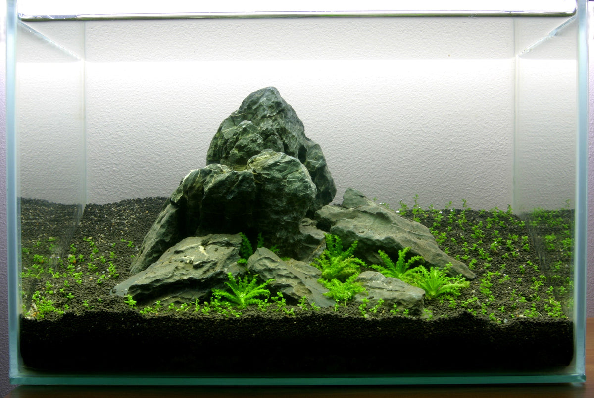 Layout 5 (12 L)