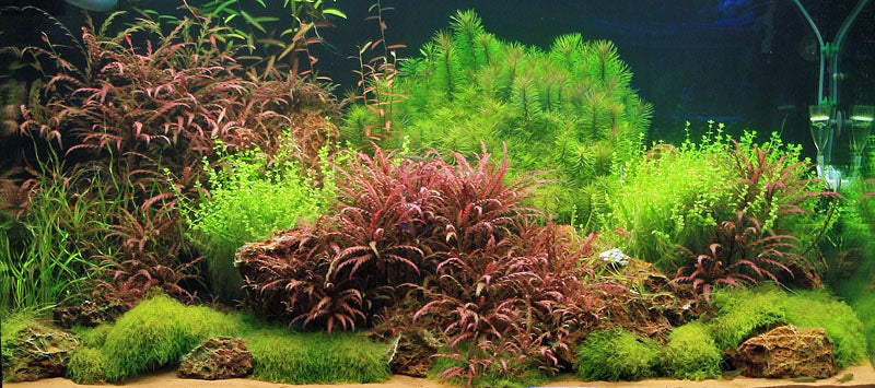 Layout 23 (360 L)