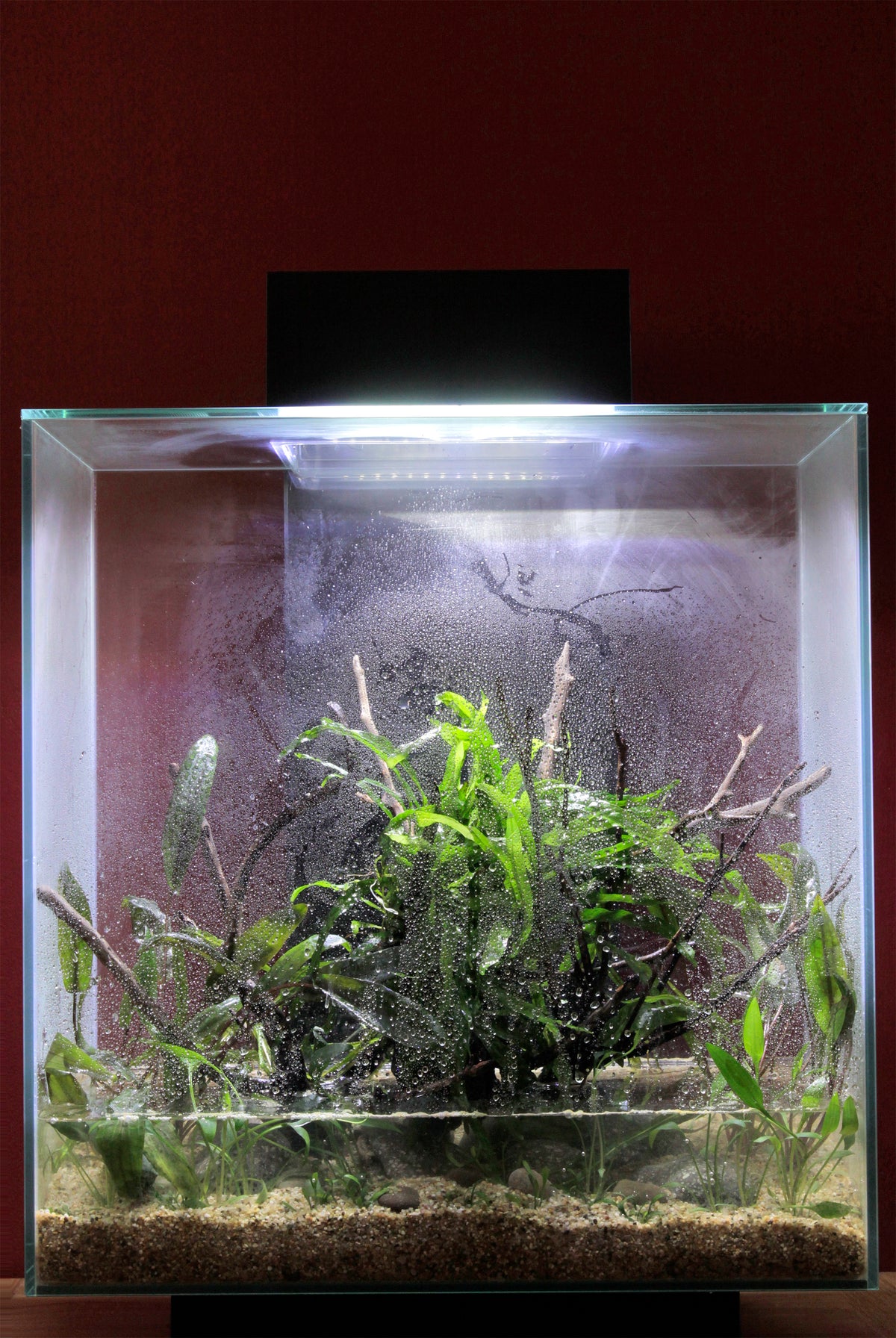 Layout 58 (46 L)