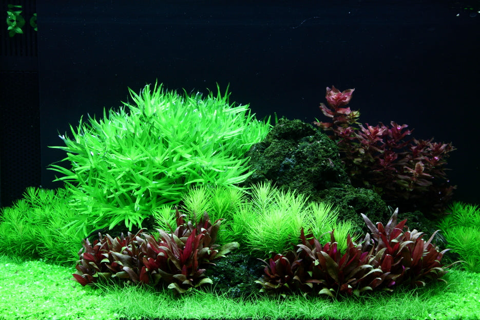 Layout 94 (270 L)
