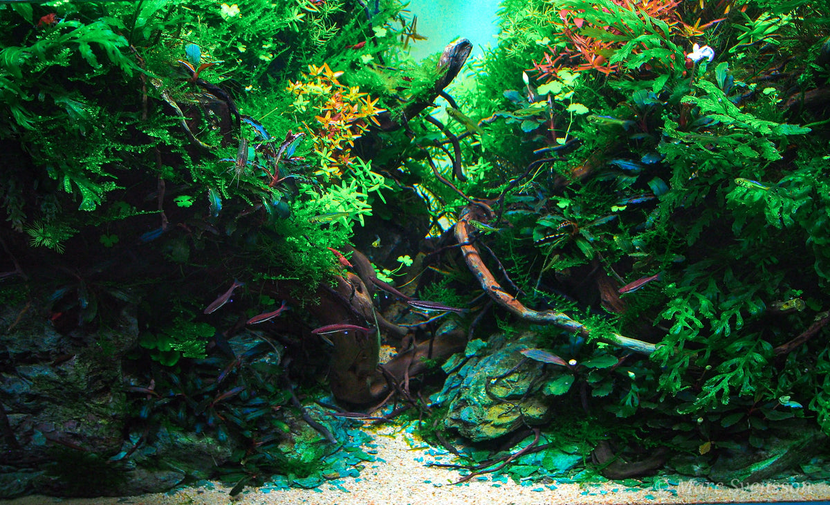 Layout 121 (180 L)