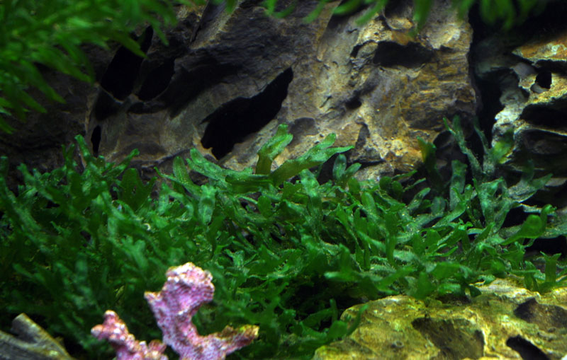 Layout 15 (112 L)