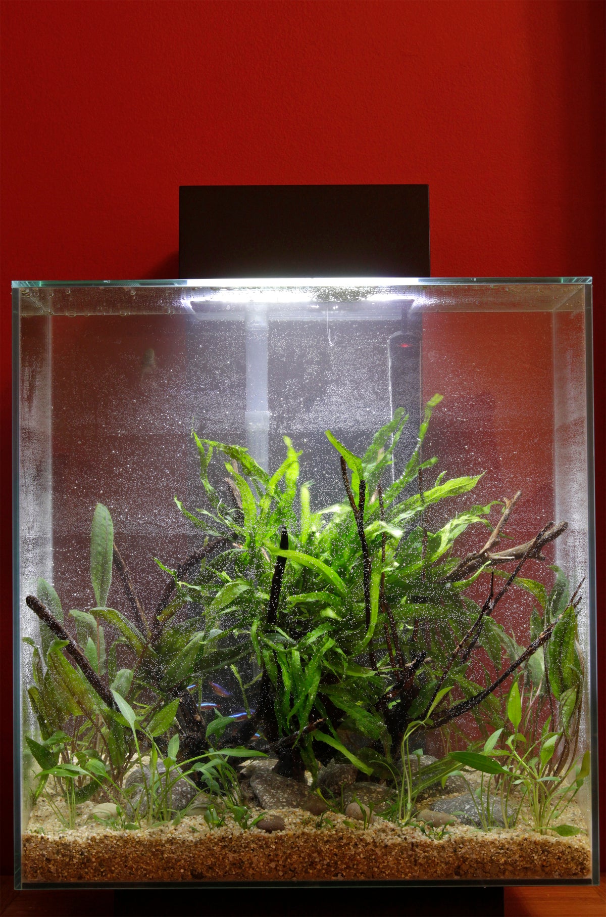 Layout 58 (46 L)