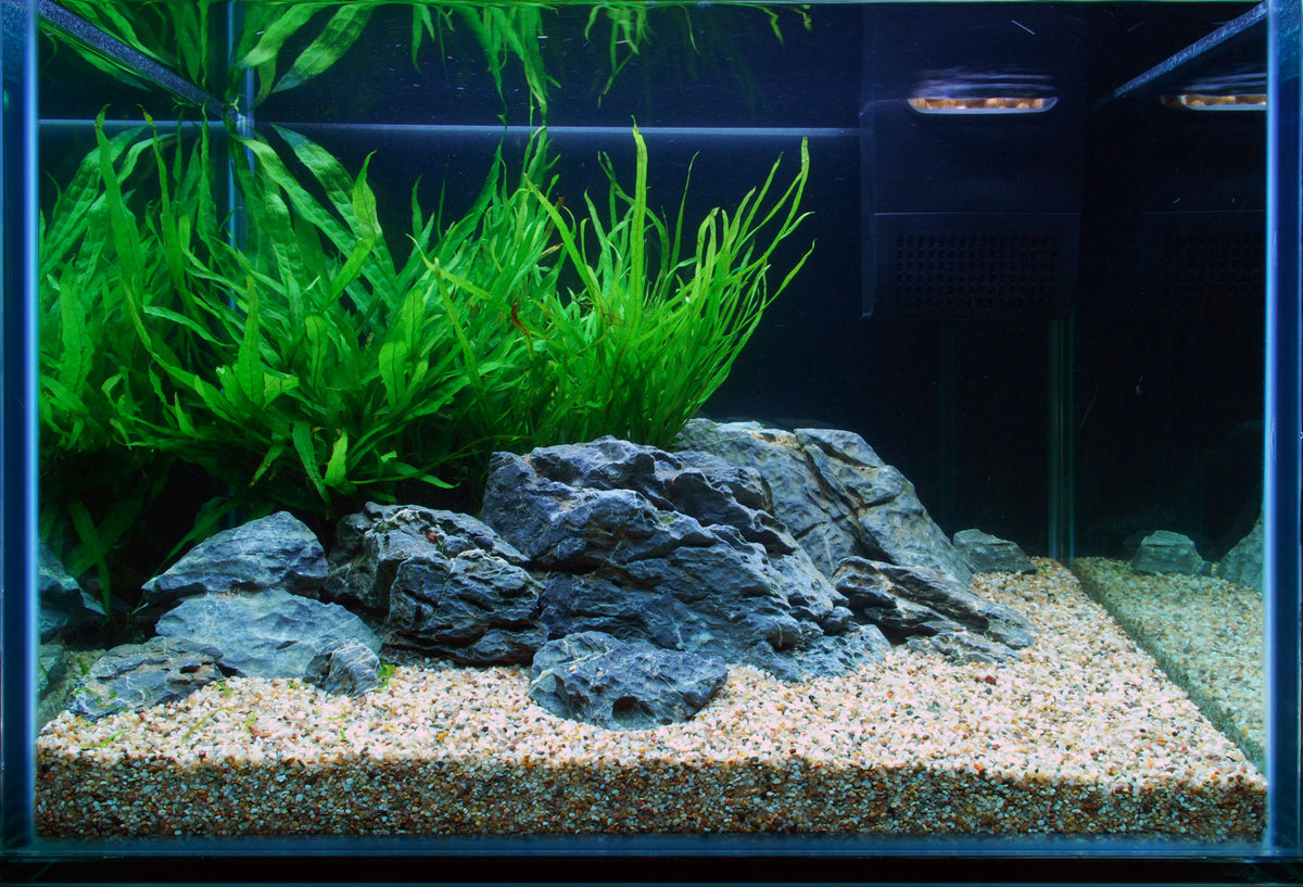 Layout 106 (57 L)