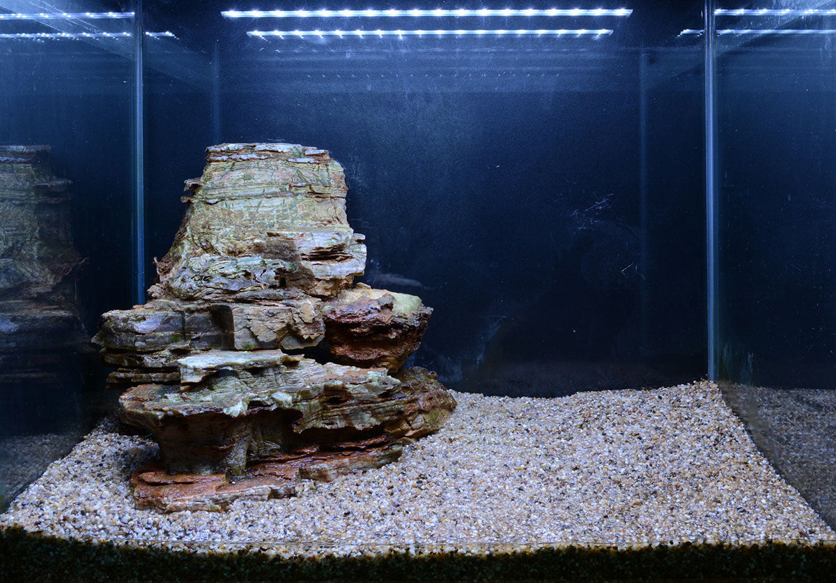 Layout 107 (57 L)