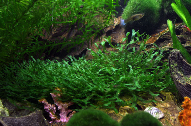 Layout 15 (112 L)