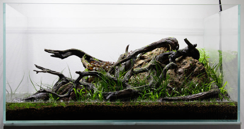 Layout 77 (80 L)